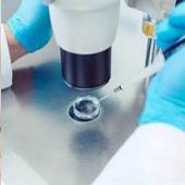 试管前调理费用